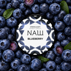 NASH BLUEBERRY